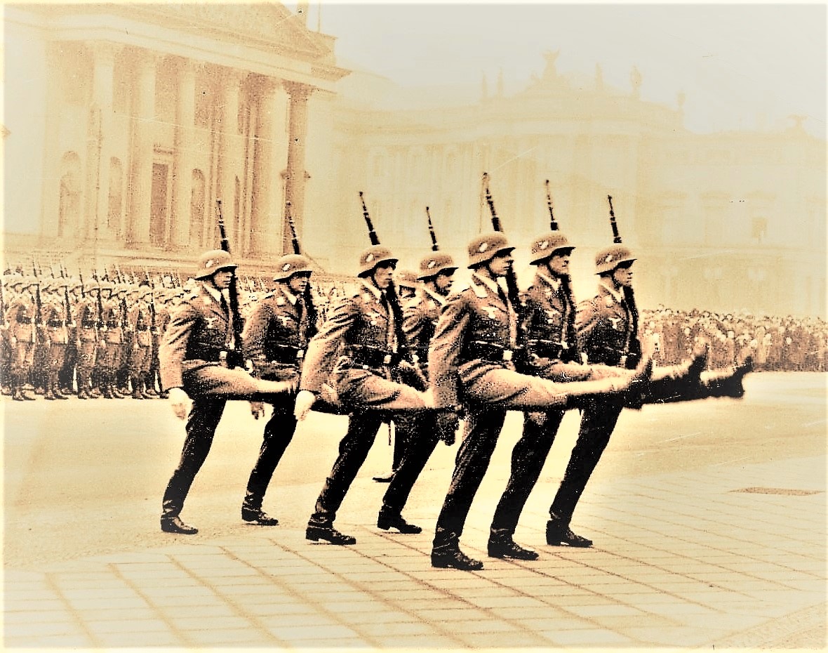 nazi goose STEPPIN (2)