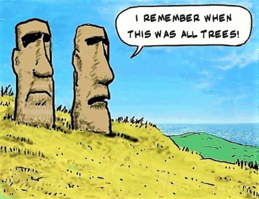 easter island deforestation